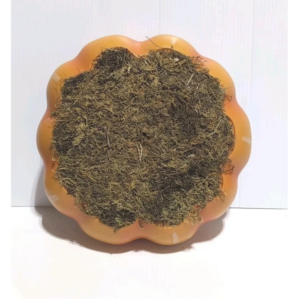 Target Bullseye Playground Fall Halloween 2023 Pumpkin & Moss Platform 9